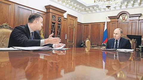 Посадки дают всходы